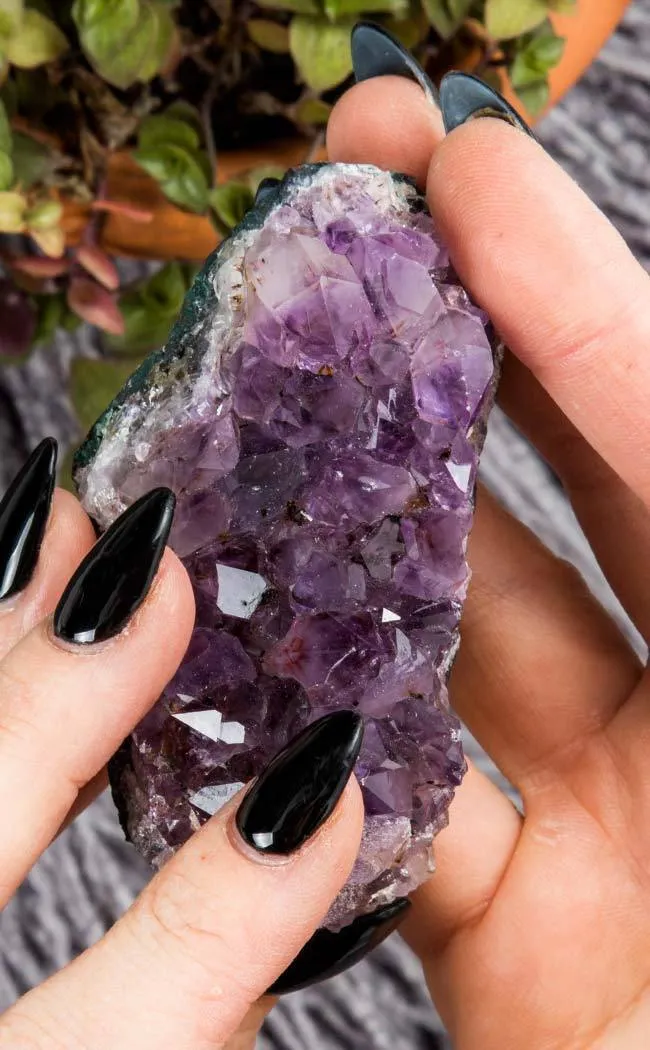 Amethyst Cluster - Large