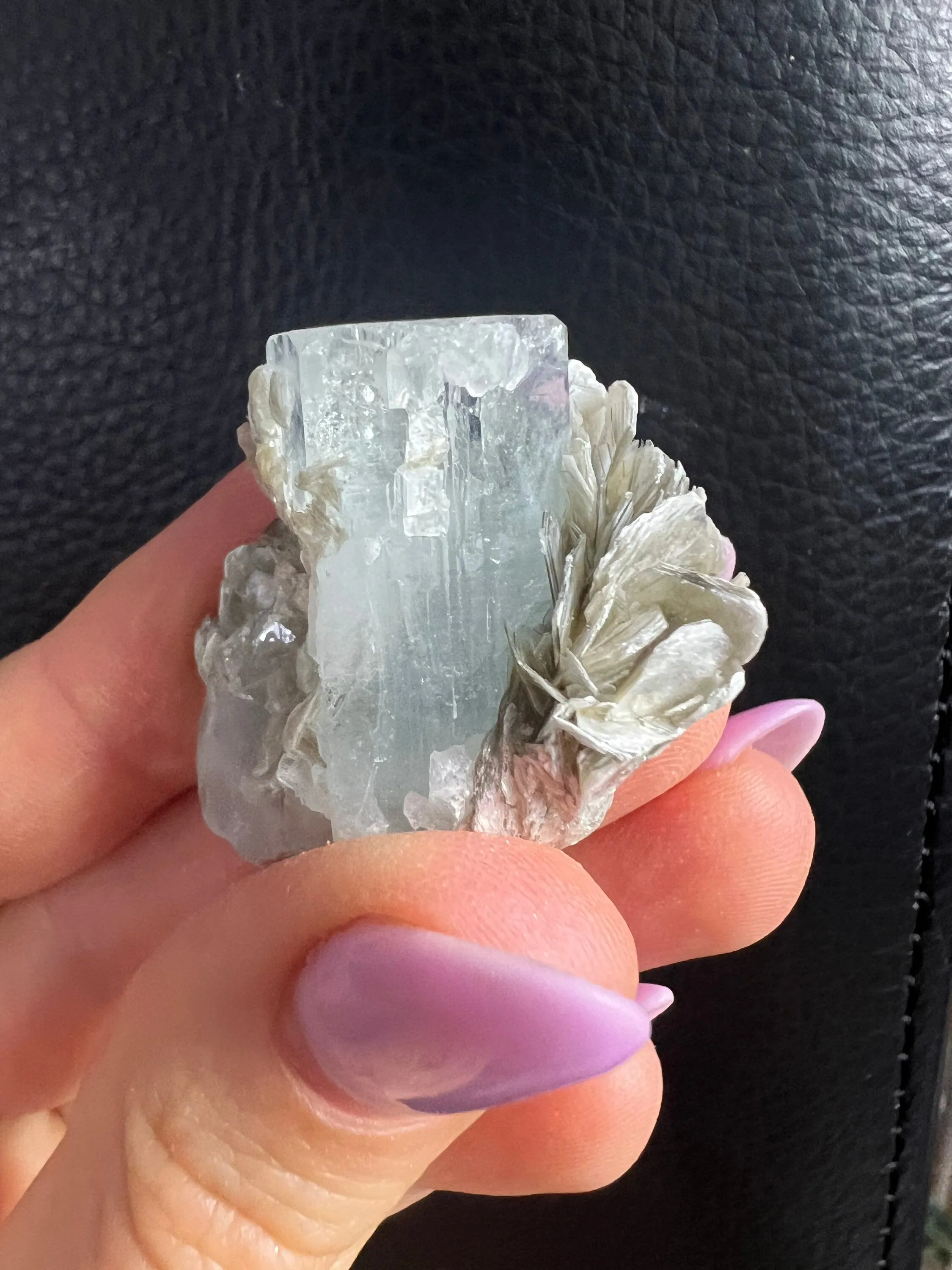 Aquamarine on mica 6 small clusters total weight 208grams