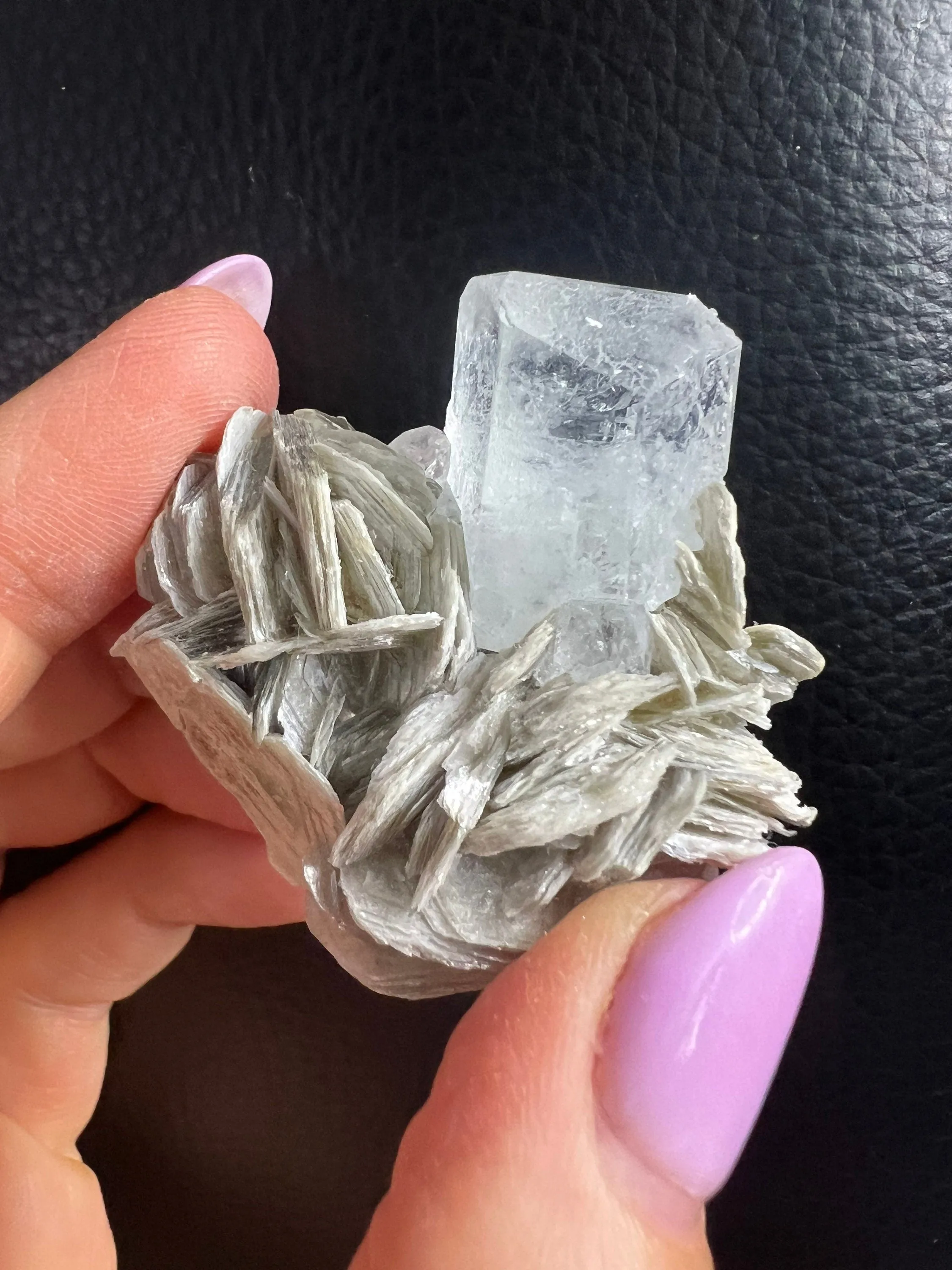 Aquamarine on mica 6 small clusters total weight 208grams