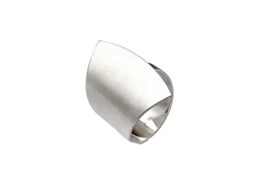 Fan Ring