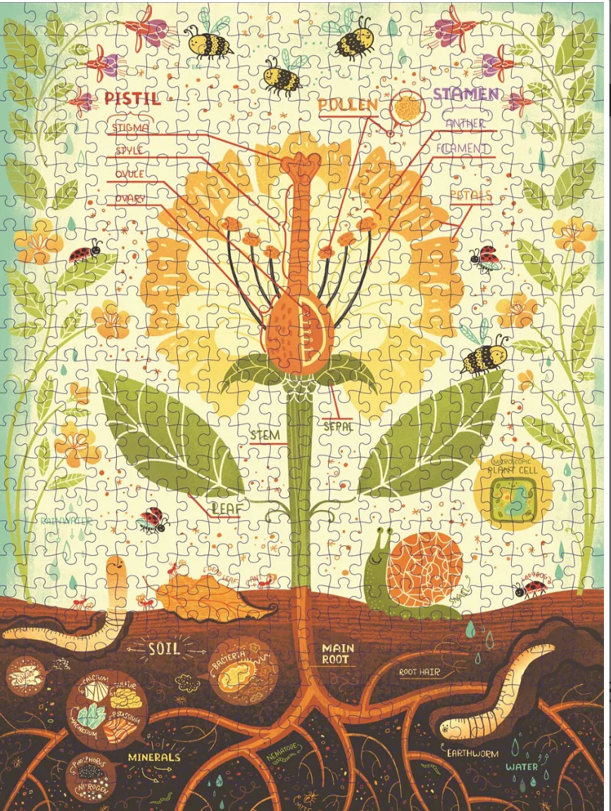 What’s Inside A Flower 500 Piece Puzzle